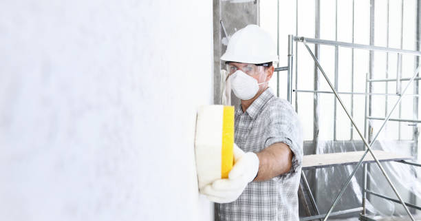 Reliable Aspen Hill, MD Mold Removal Services Solutions